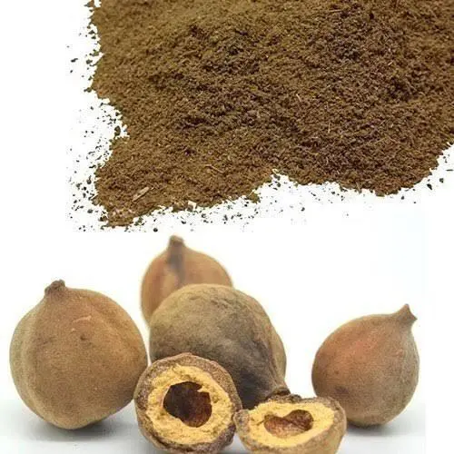 টার্মিনালিয়া-বেলিরিকা-1-1.webp