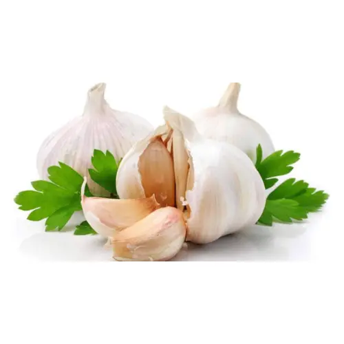 রসুন-1-1.webp